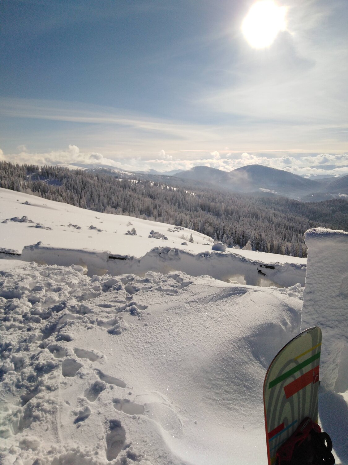 Photo #4590528