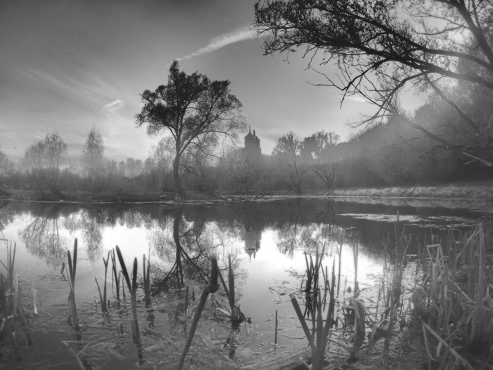 Photograph by 