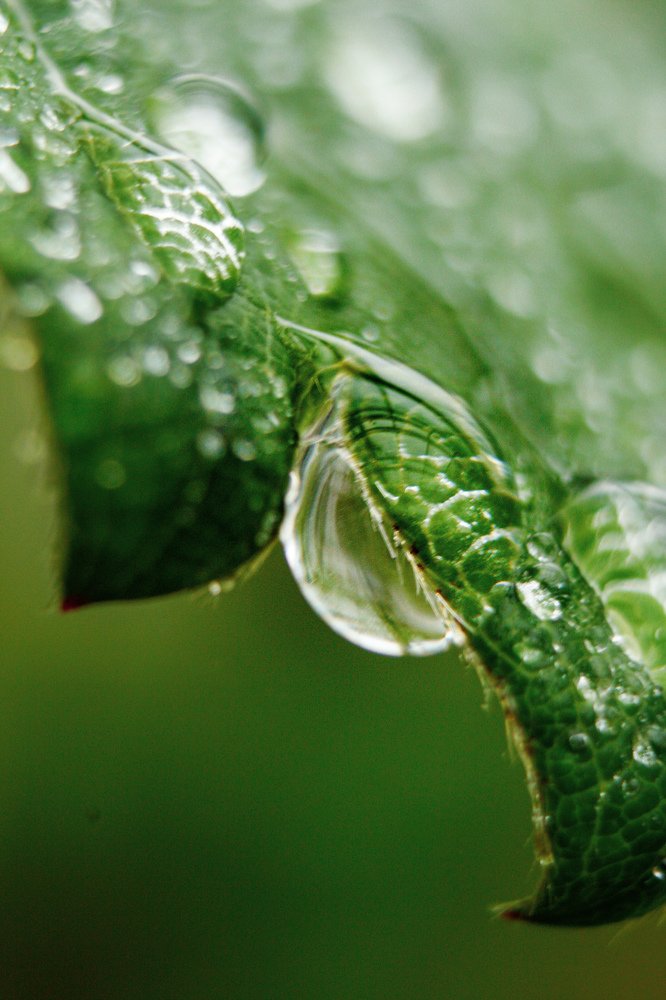 Photograph by Rybakova Alena