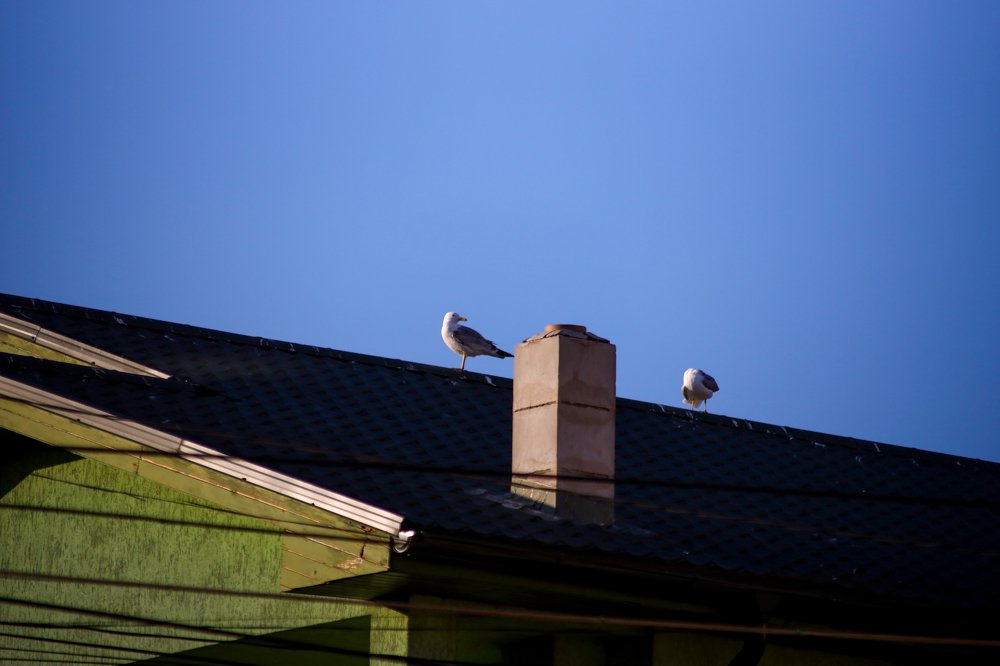 Photograph by Iulia Pana