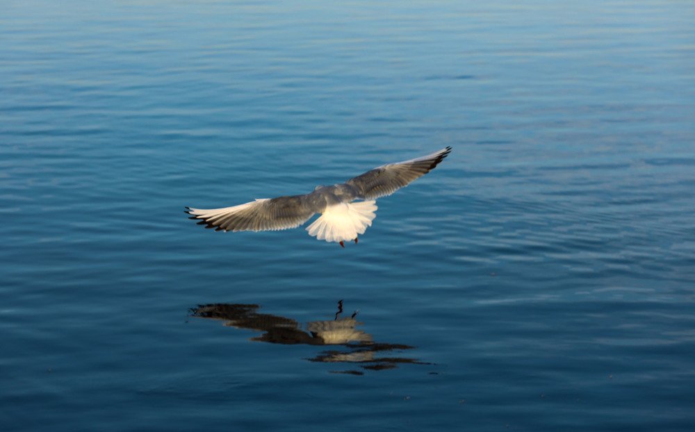 Photograph by Iulia Pana