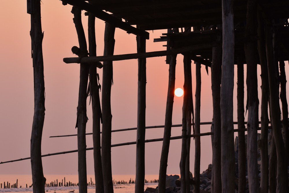 Photograph by anjan mukherjee