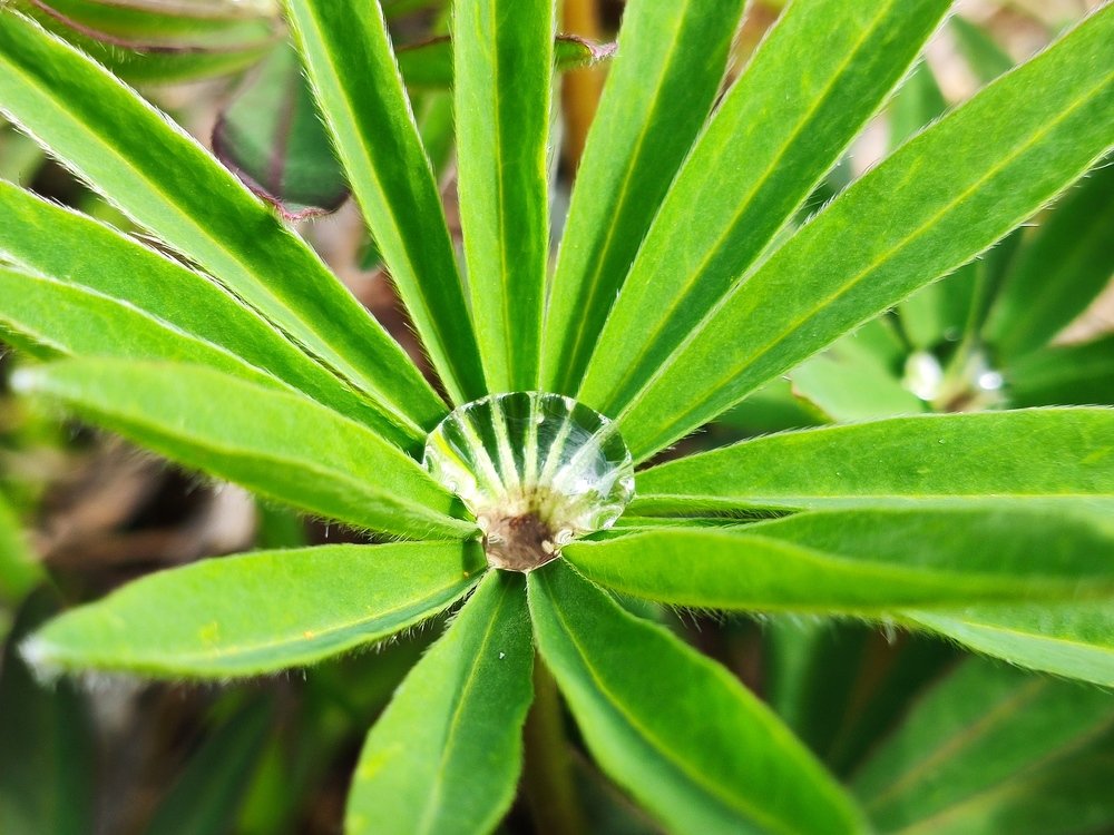 Photograph by Евгений Артемьев