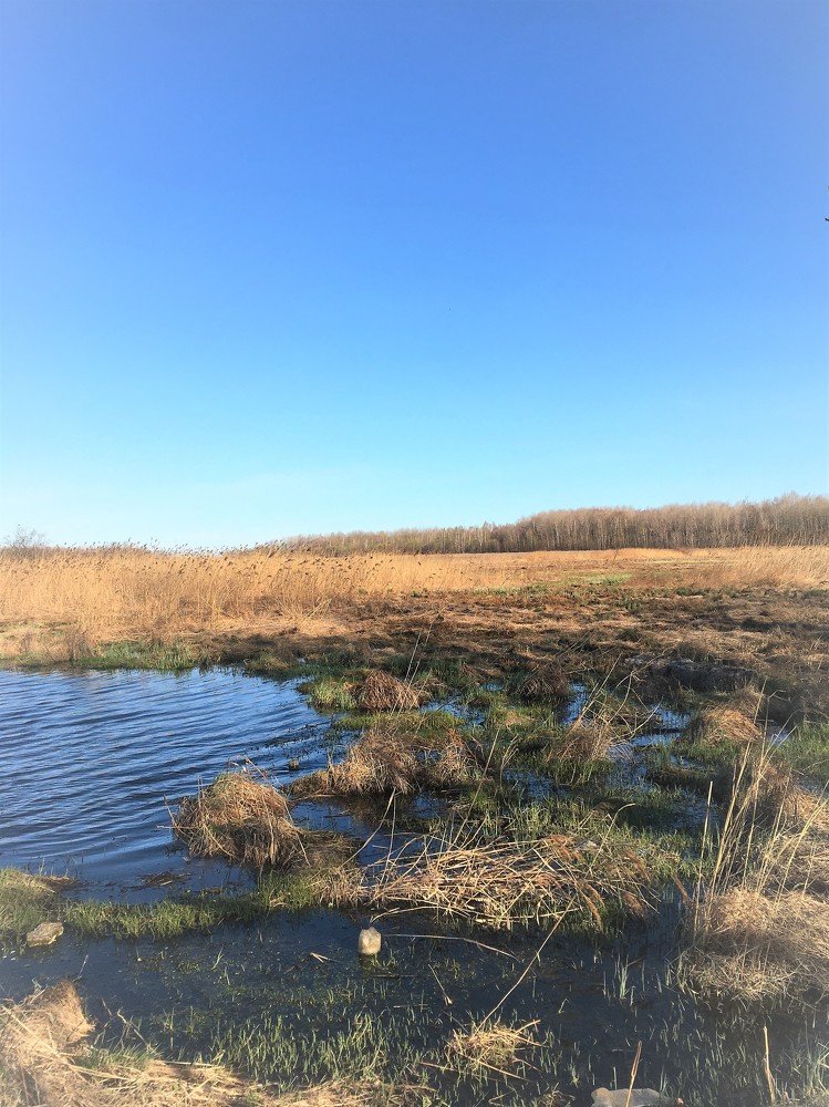 Photograph by Нелли Омельченко