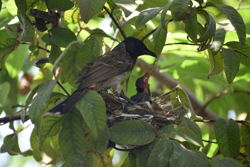 Photograph by Keerthi Hepziba