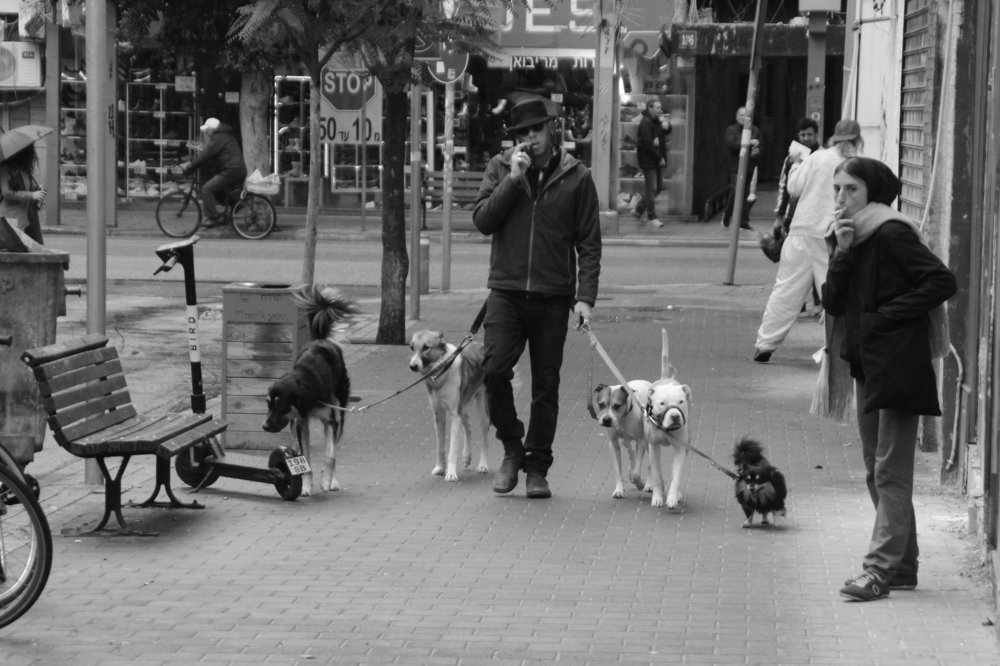 Photograph by Yaniv Abramovitz