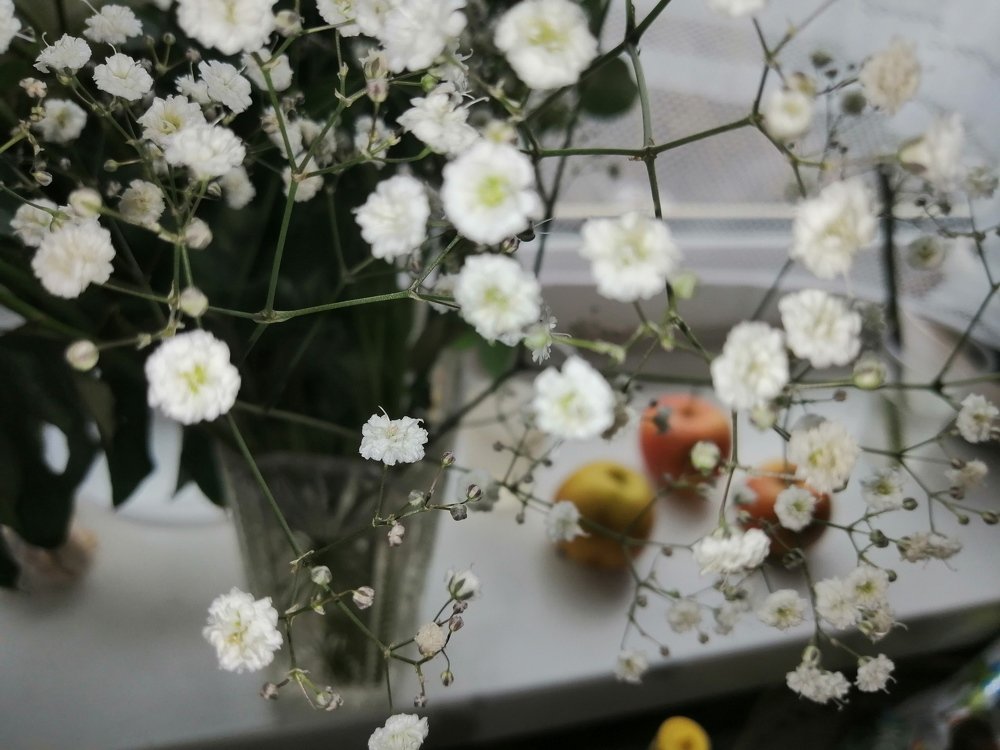 Photograph by Юлия Чувичилова