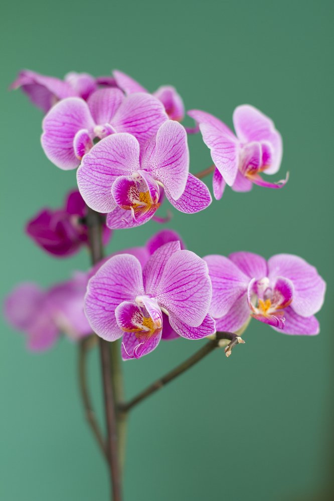 Photograph by Инесса Юровских