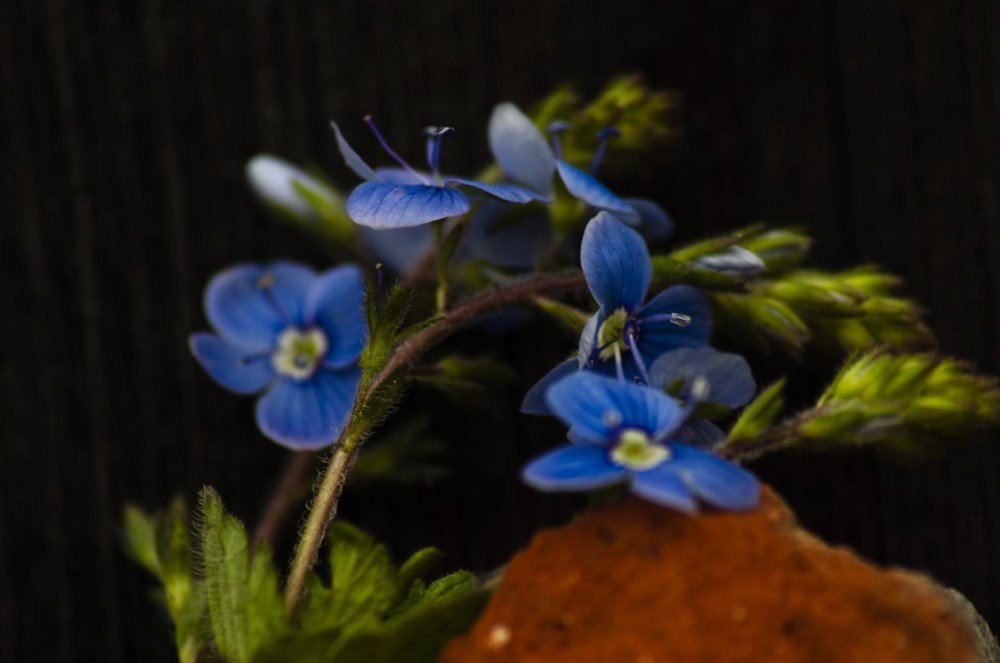 Photograph by Анастасия