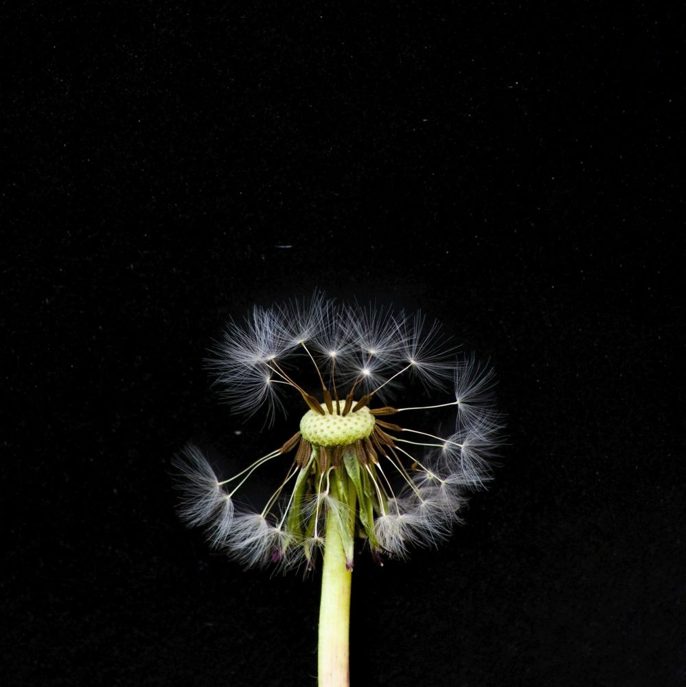 Photograph by Анастасия