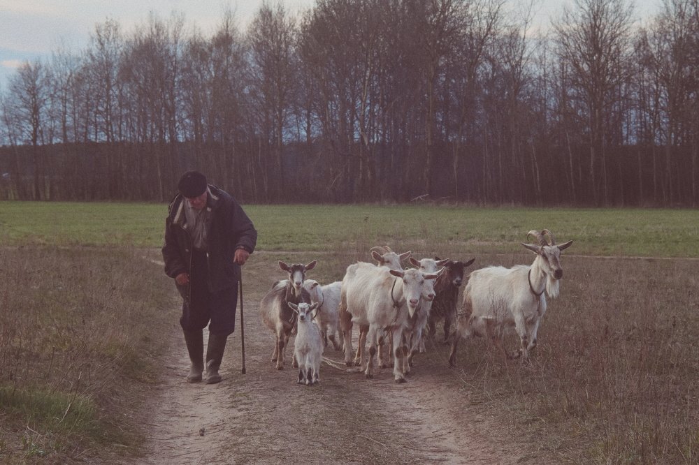 Photograph by Камила Башарова