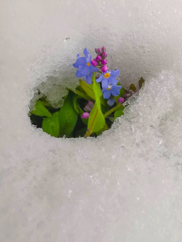 Photograph by Indre Stulgaite