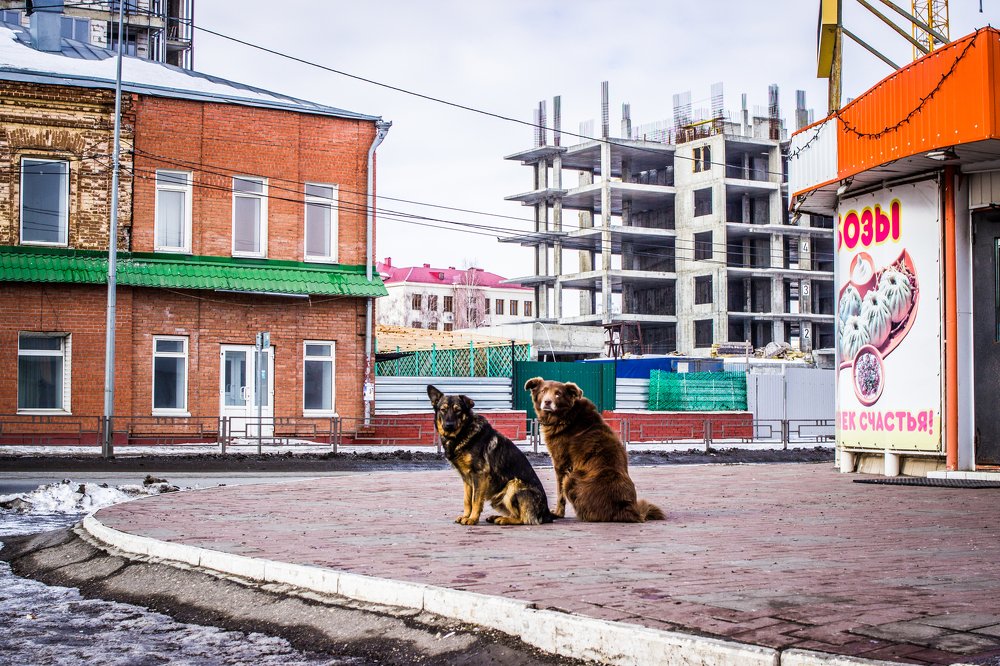 Photograph by Евгений Уханов