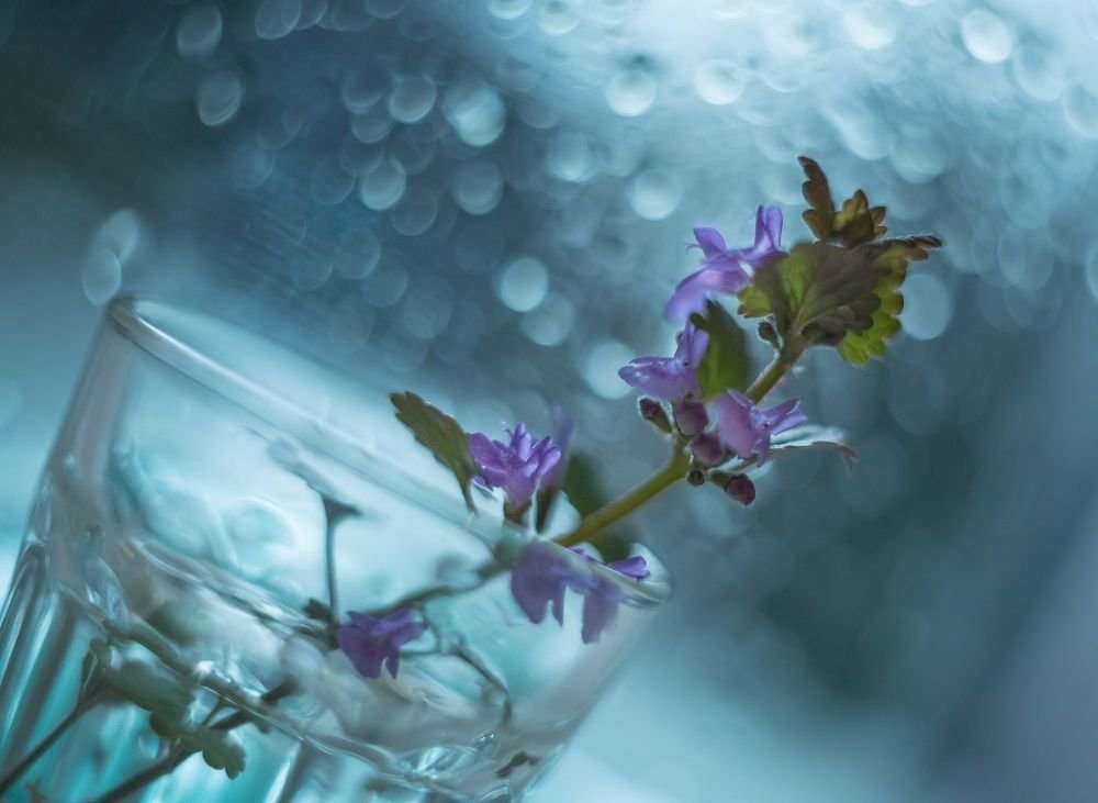 Photograph by Анна Трестьян