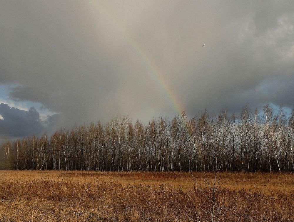 Photograph by Ираида Стародубцева