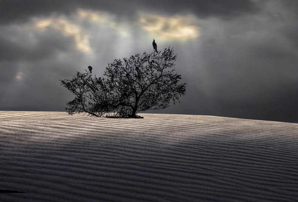 Photograph by Leonid Lan