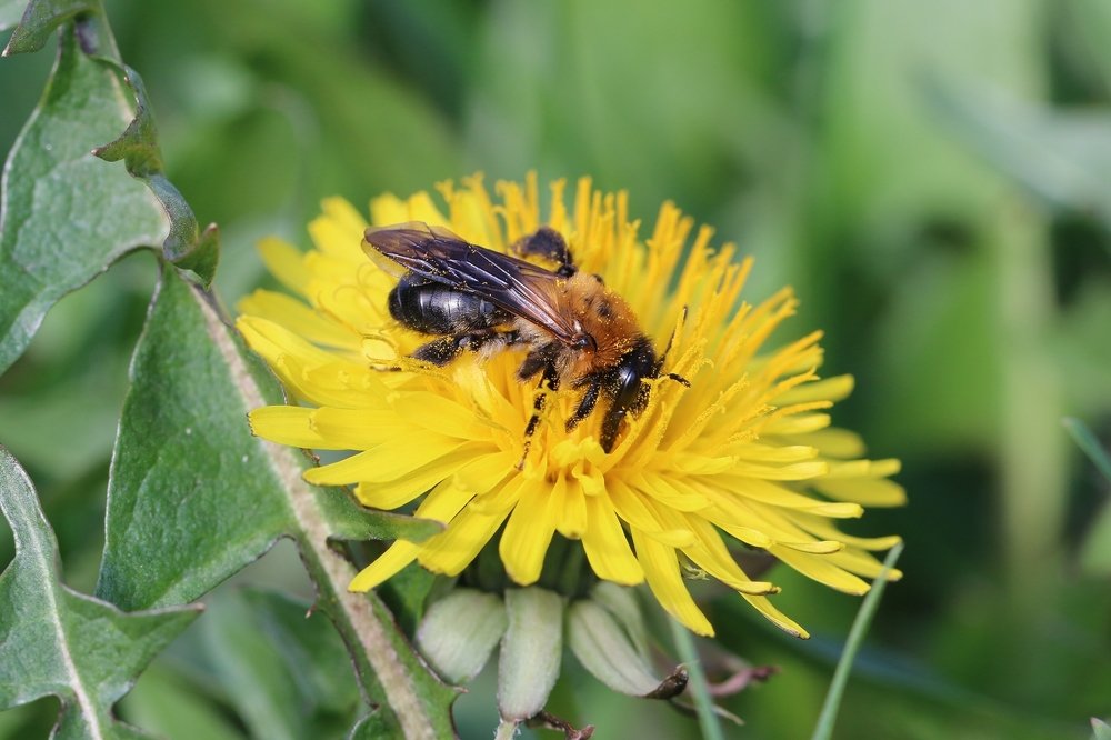 Photograph by Алексей Федулов