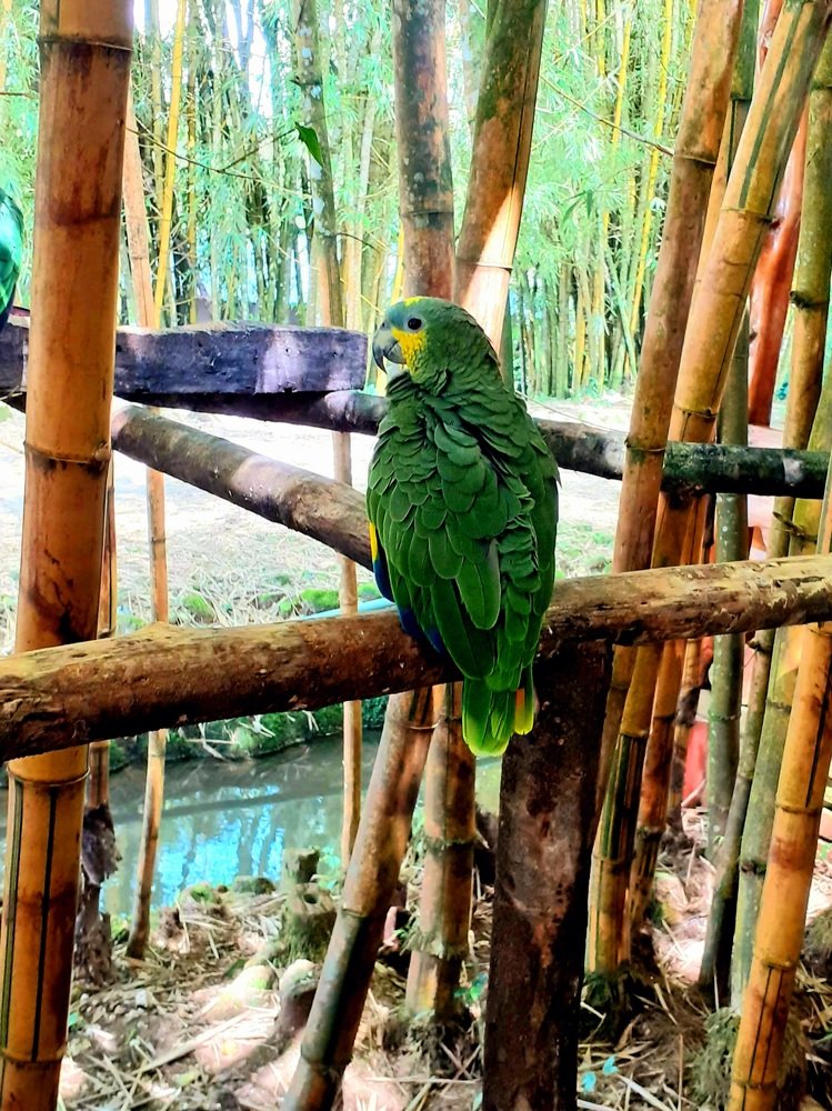 Photograph by Alicia Tipán