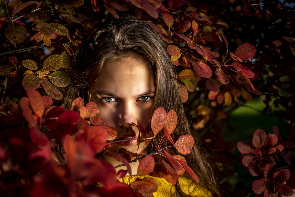 Photograph by Krzysztof Skibicki