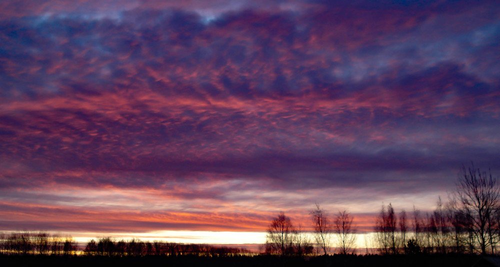 Фотография автора Иван Алексеев