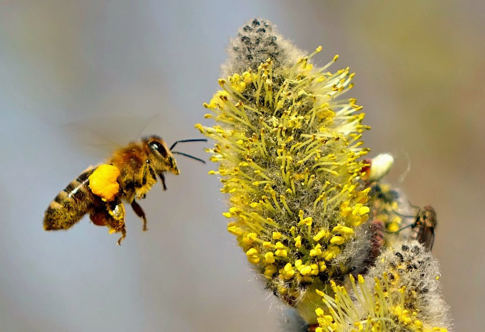 Летим на работу)))