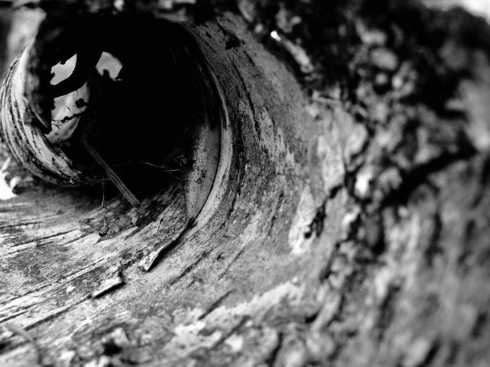 Фотография автора Frédéric Rétif