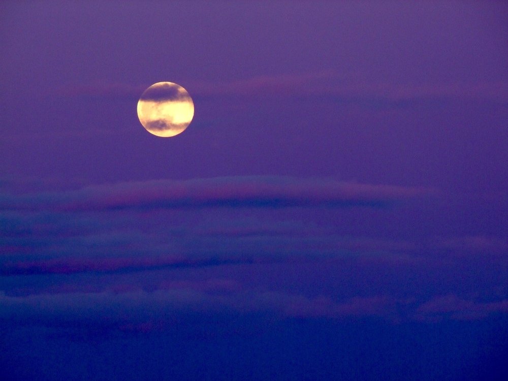 Фотография автора Frédéric Rétif