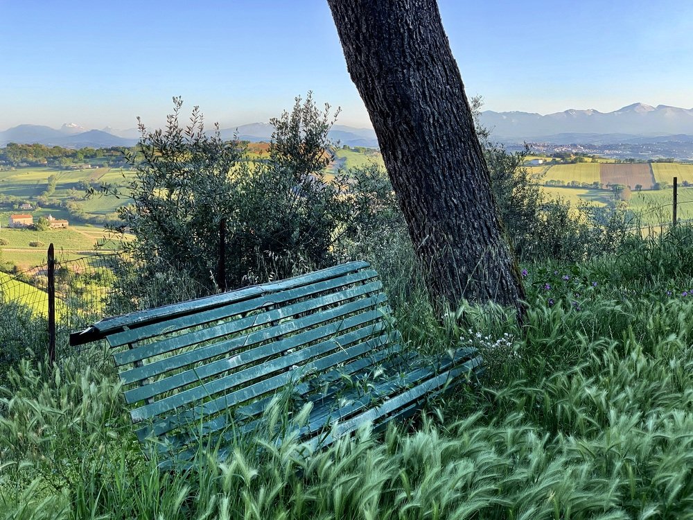 Photograph by Марина Неберекутина