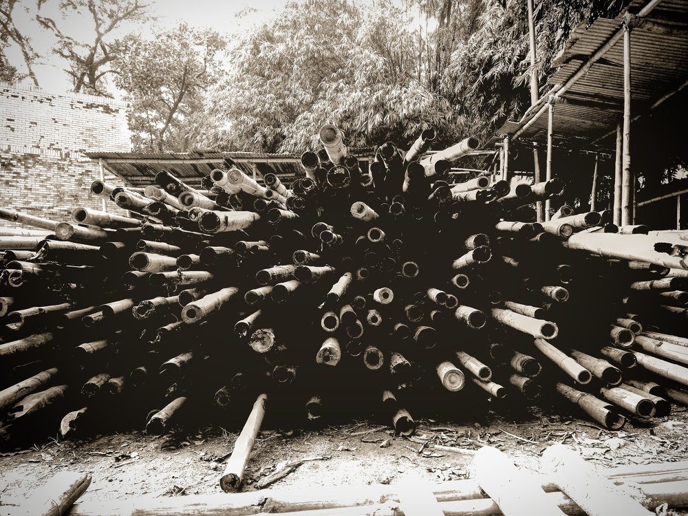 Photograph by Md Tohidur Rahman Muktadir