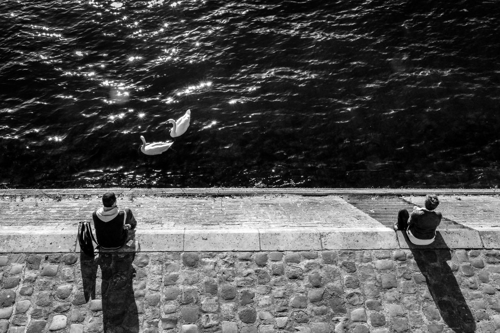 Photograph by Joao Martinho