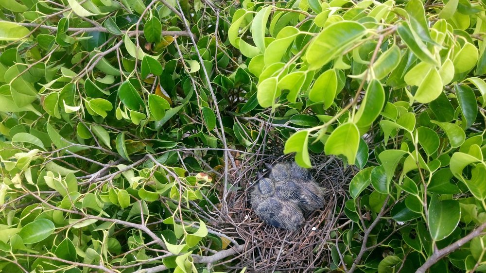 Photograph by Alicia Tipán