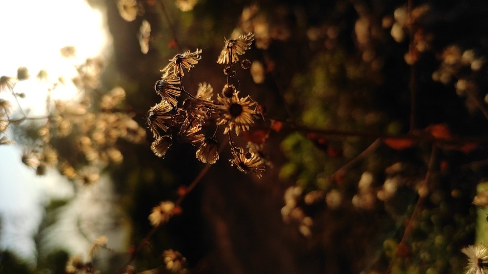 Photo #4592088