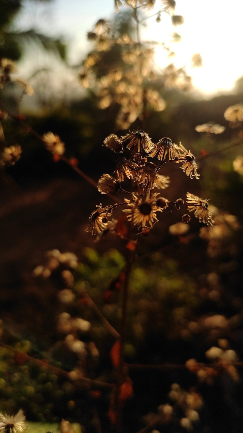 Photo #4592088