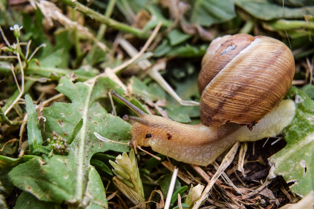 Photograph by Валерия Константинова