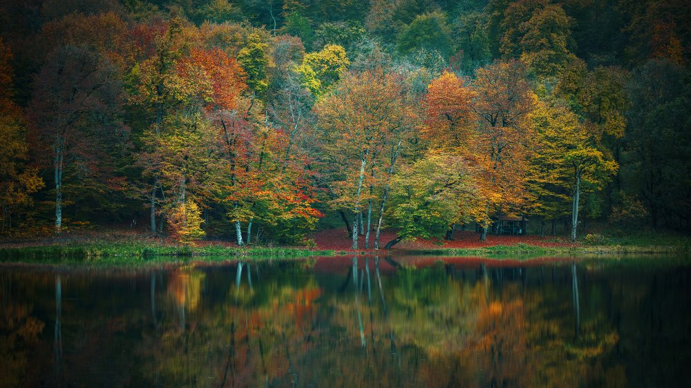 Photograph by Garo Manjikian