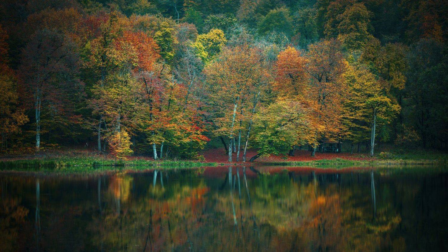 Фотография #4592165