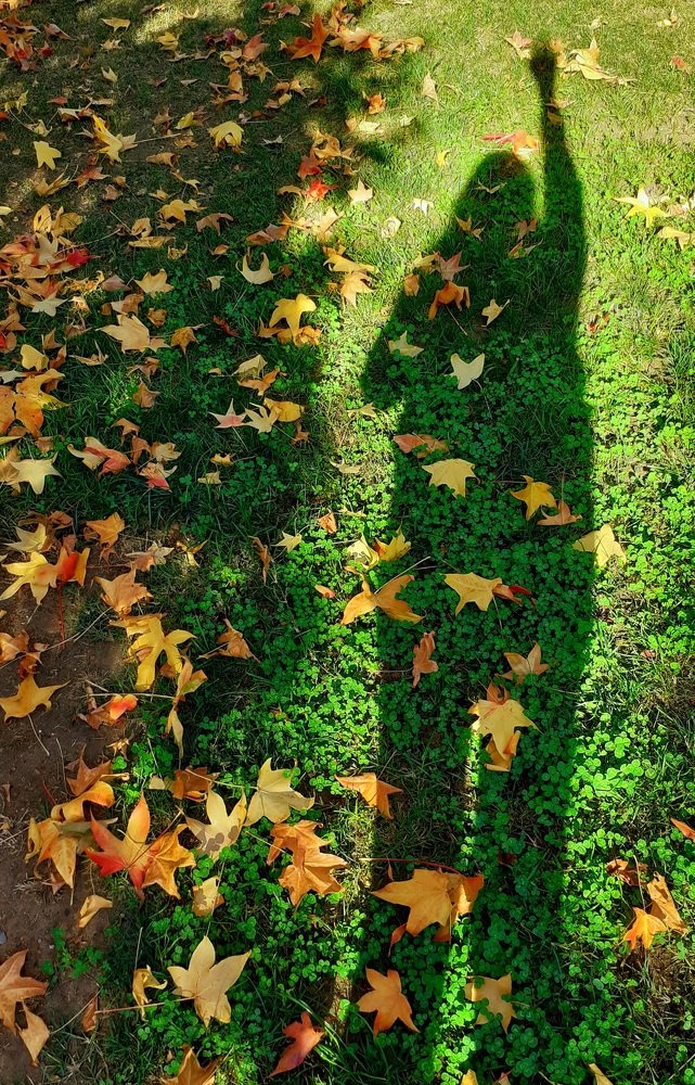 Photograph by Alicia Tipán