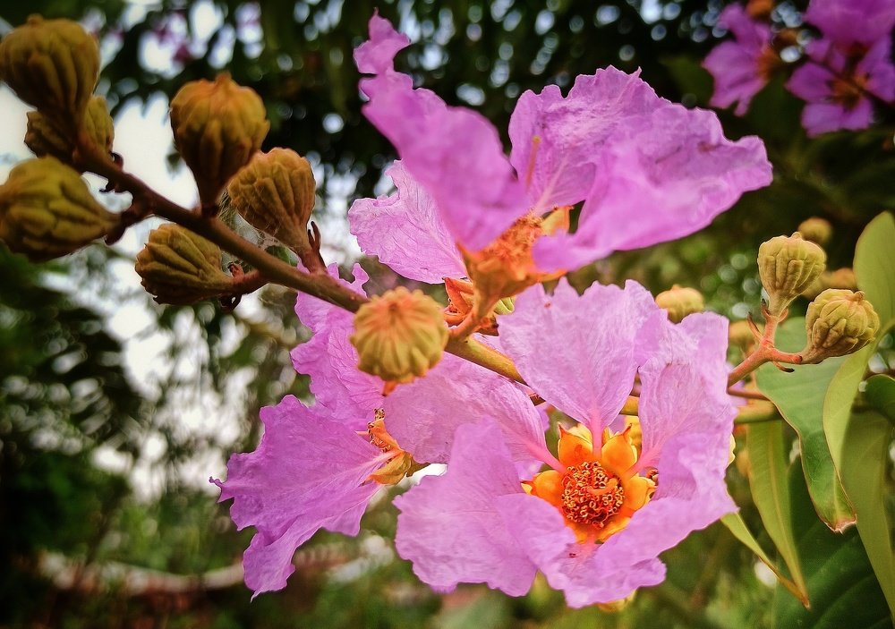 Photograph by Nader Ahmed Rimon