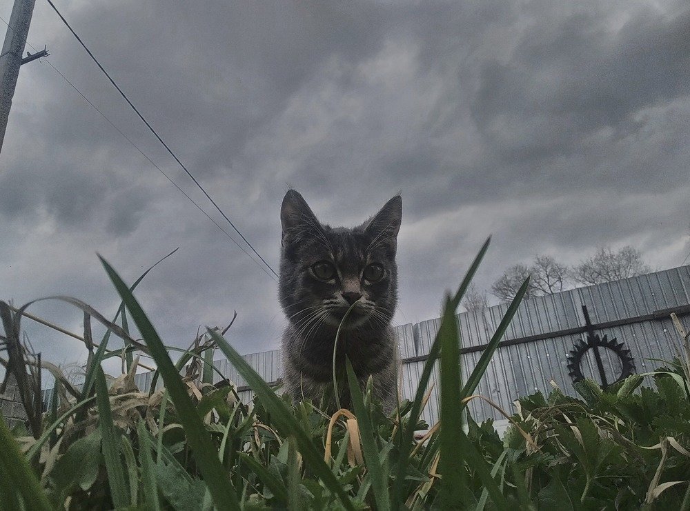 Photograph by Нуржигит Орузбаев