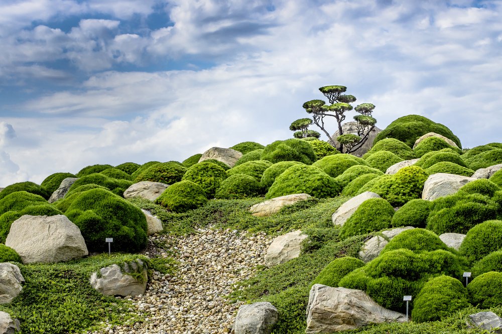 Photograph by Peter Hennig