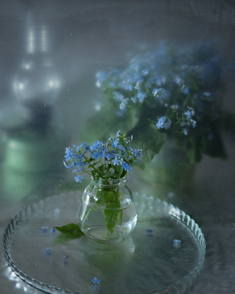 Photograph by Natalia Shilova