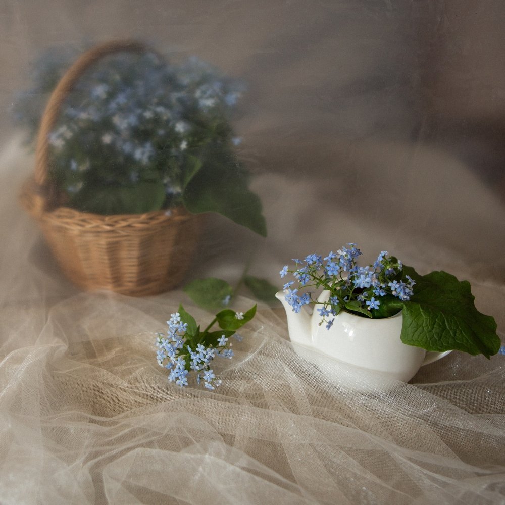 Photograph by Natalia Shilova