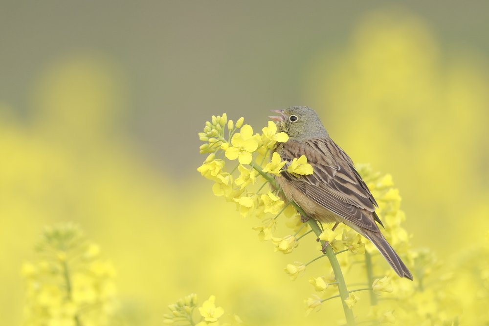 Photograph by Piotr Warzecha