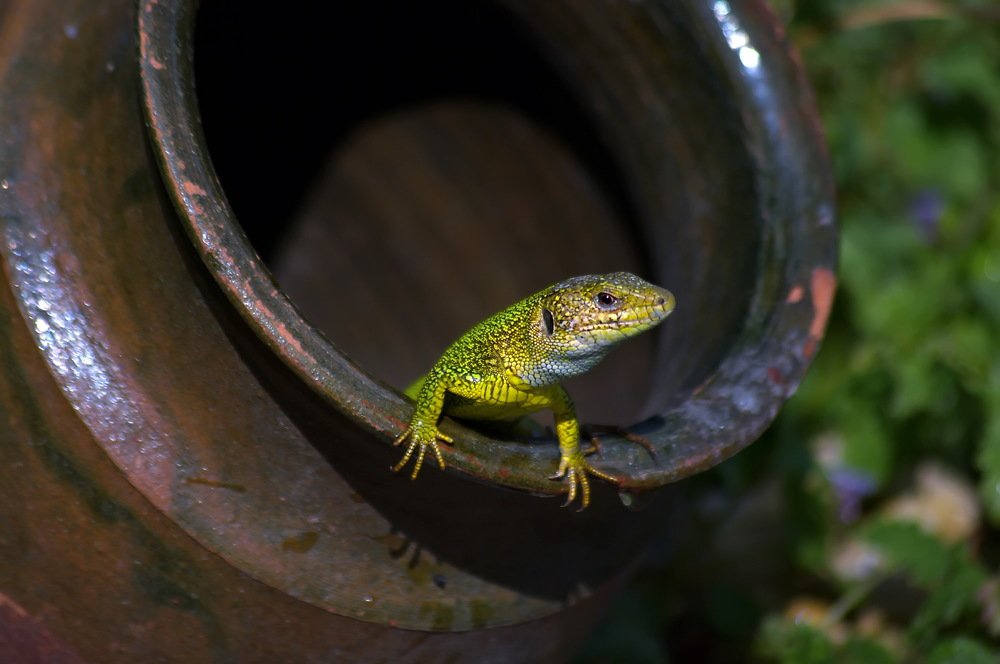 Photograph by Анатолий Святой