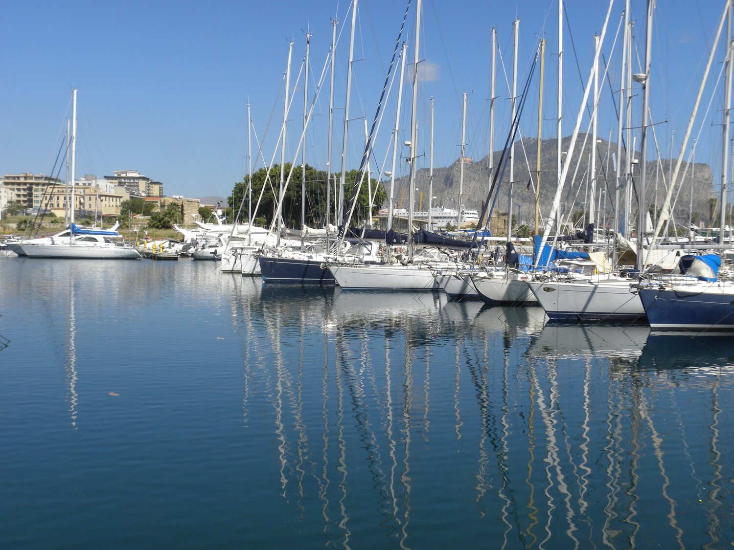 La Cala confined