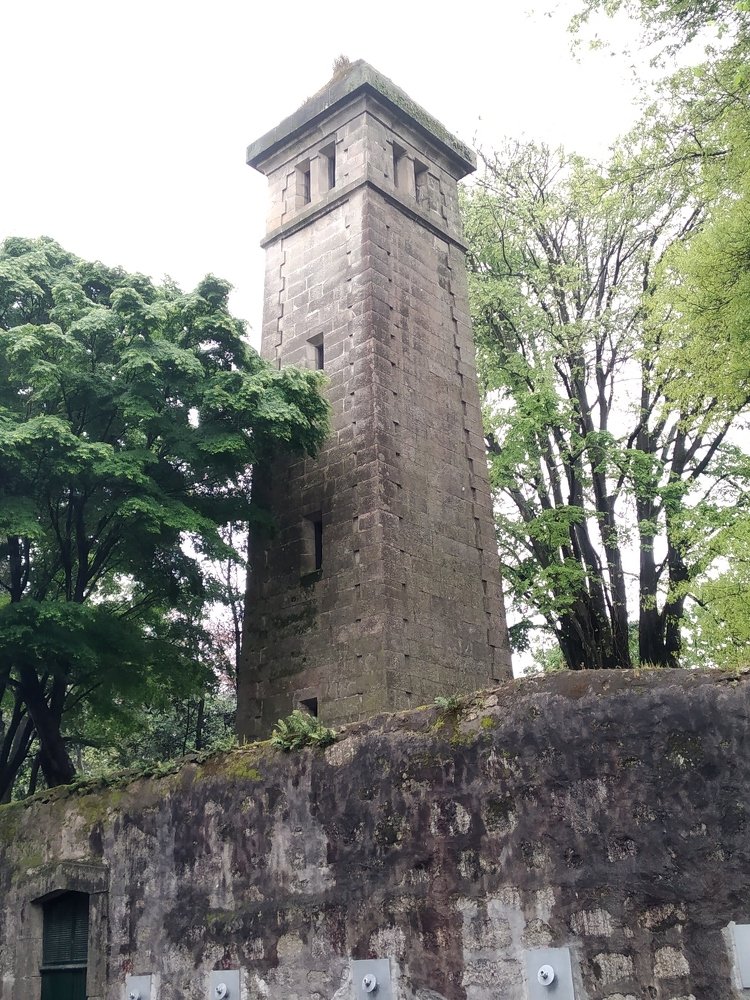 Photo #4592609
