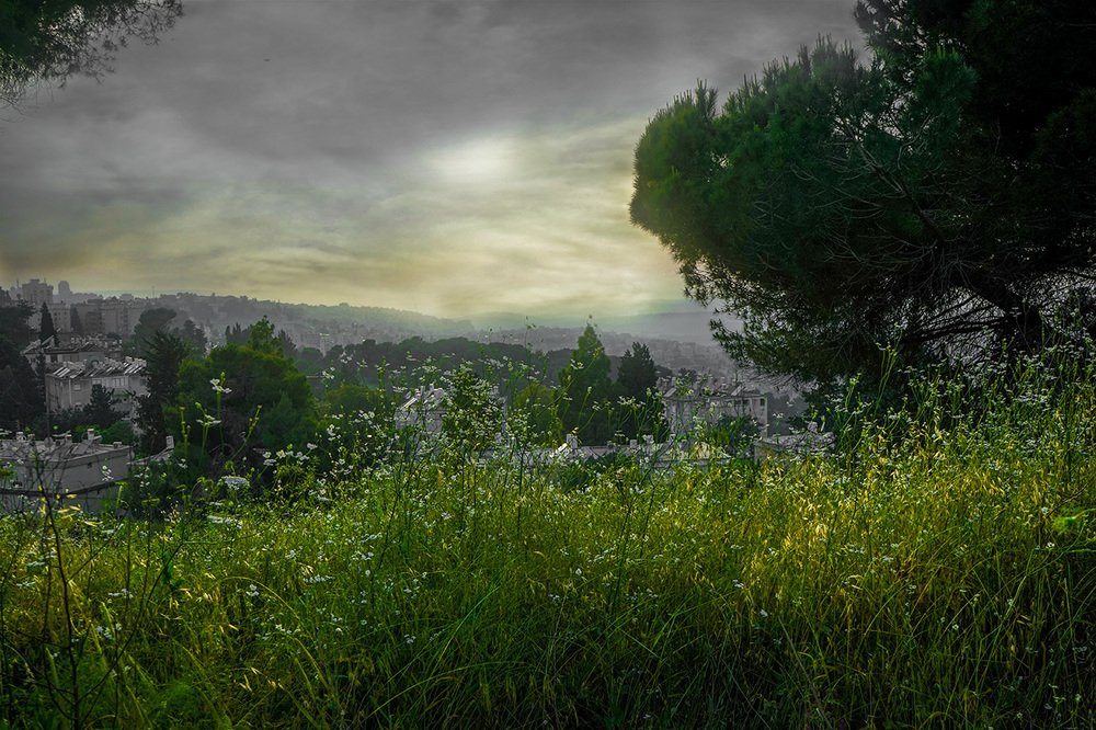 Photograph by Владимир Бутов