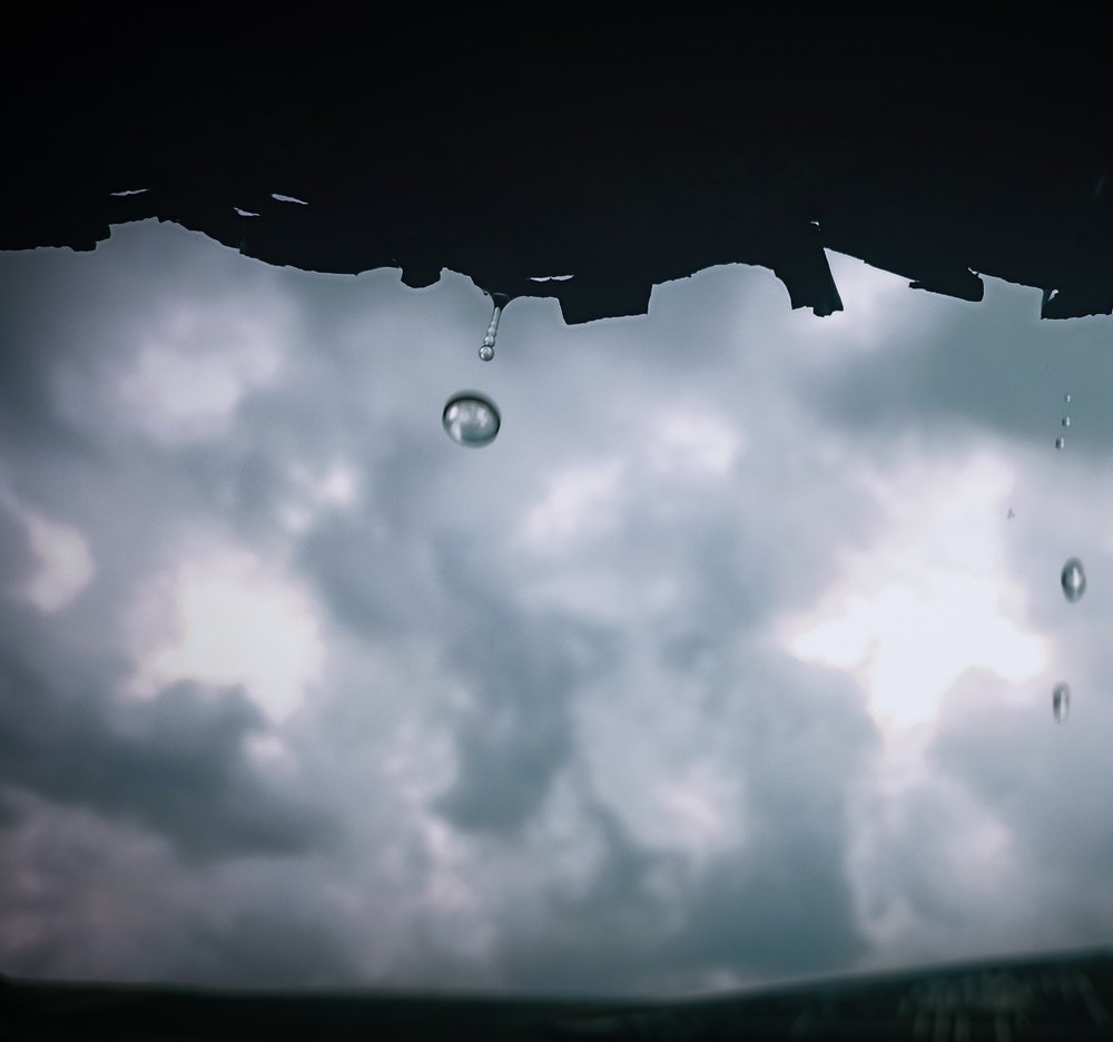 Rain Droplets..