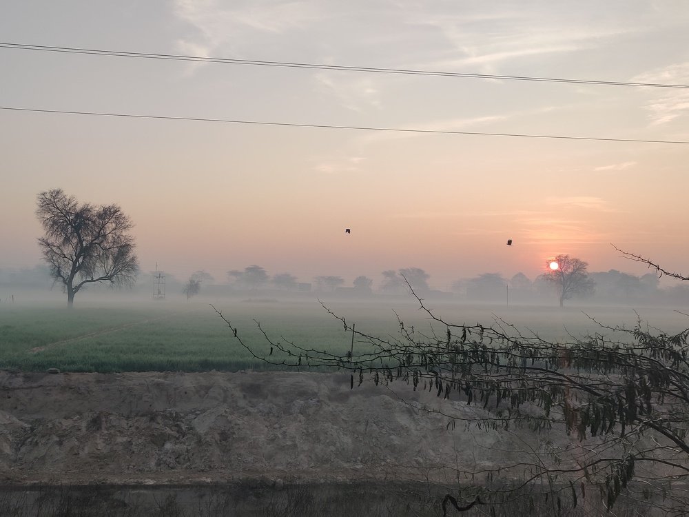 Photo #4592923