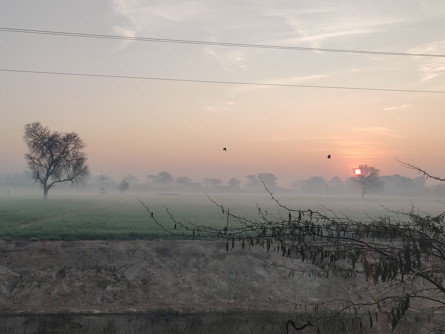 Photo #4592923